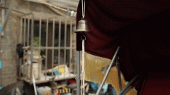 对于一只机械狗来